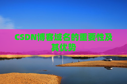 CSDN博客域名的重要性及其优势